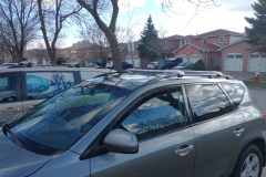 murano2007-1