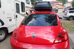 vw_beetle-1