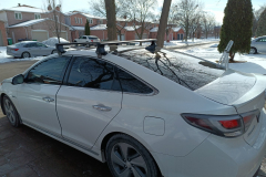 2013Sonata-6