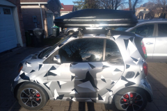 smartCar-8