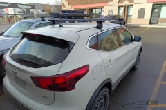 Qashqai201714