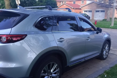 2019cx9FB-1