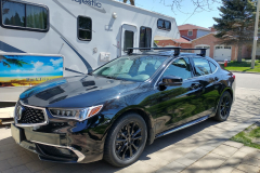tlx2019-1