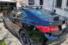 tlx2019-3