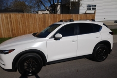 DSC_0049