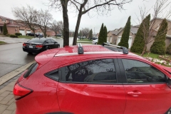 HRV-6