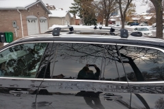 IMG_20191114_124216405_HDR