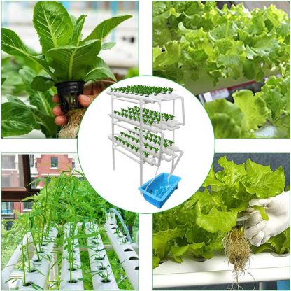 Full Set Hydroponic Growing System 108 Plant Sites 10