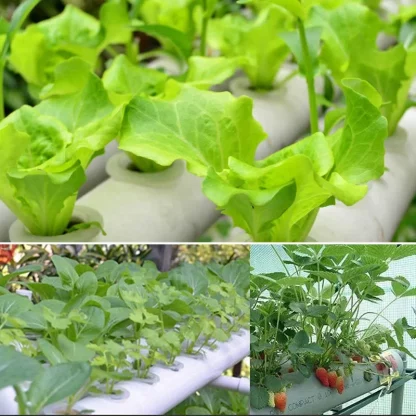 Full Set Hydroponic Growing System 108 Plant Sites 2